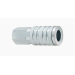 C10 1/2in. I/M/T Design x 1/2in. FNPT Steel Coupler Qty/1