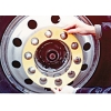 50301 Chrome Wheel Protector - Standard