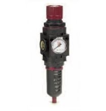 RTFR380G 3/8in. Regulator With Gauge