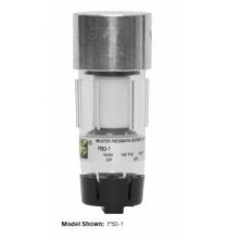 MPBFD501 1/8in. Miniature Filter NPTF