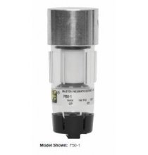 MPBFD502 1/4in. Miniature Filter NPTF