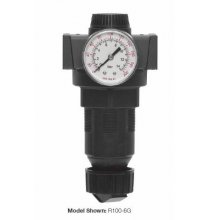 MPR1002 1/4in. Regulator NPTF