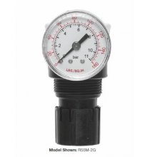 MPR552 1/4in. NPTF Miniature Regulator