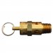 1090-200 1/4in. MNPT ASME Safety Valve 200 PSI Pop Off Pressure Qty/