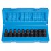 1610UM 3/8in. Drive Standard Length Universal Set - With Molded Case